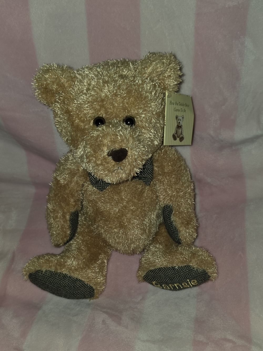 Nwt Barnes & Noble Barnsie Bear